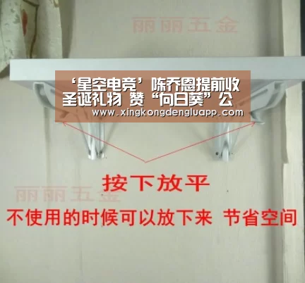 ‘星空电竞’陈乔恩提前收圣诞礼物 赞“向日葵”公益善行